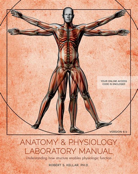 Product Details - Anatomy and Physiology Laboratory Manual: Understanding How Structure Enables ...