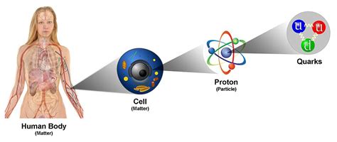 Los Quarks, tipos de Quarks y descubrimiento