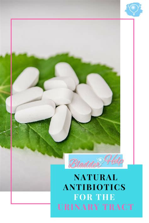 Natural Antibiotics for the Urinary Tract - Bladder Help