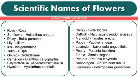 Scientific Names of Flowers - GrammarVocab