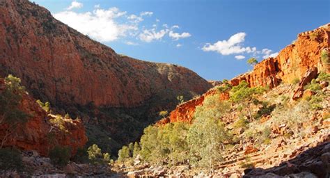 Hiking the Larapinta Trail with Amnesty International Australia