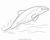 Jumping Hector Dolphin Coloring Page For Kids  Free Dolphins Printable sketch template