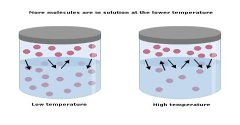 Effect of Temperature on Solubility - QS Study