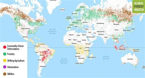 Deforestation Map Of The World - Draw A Topographic Map