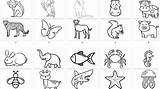 Baby Animals Matching Game For Toddlers With Pictures  Out To Be sketch template