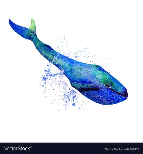 Blue whale Royalty Free Vector Image - VectorStock