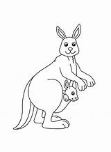 Very Simple Kangaroo Coloring Page  Free Printable Coloring Pages sketch template