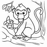 Monkey Cartoon Coloring Page Vector Stock  Illustration Of sketch template