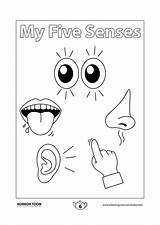 5 Senses Coloring Pages Sketch Page sketch template