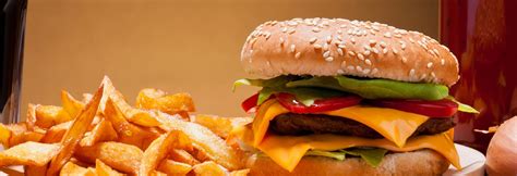 Burger-Junk-Food - Sigina Pop