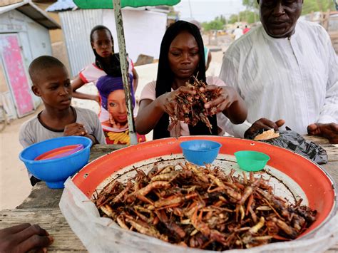 So What Does A Deep-Fried Grasshopper Taste Like? | NCPR News