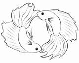 Zodiac Pisces coloring Page  Download Print Or Color Online For Free sketch template