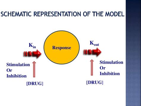 Pharmacokinetic and Pharmacodynamic Modeling