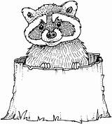 Free Raccoon Coloring Pages sketch template
