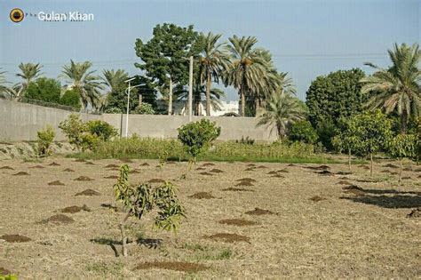 Village life of beautiful Sindh Pakistan | Village life, Sindh, Village