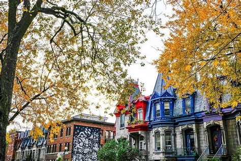 2023 Montreal's Plateau Mont-Royal & Mile End Walking Tour