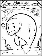 Simple Manatee coloring Page sketch template