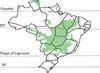 The rapid soybean growth in Brazil | OCL - Oilseeds and fats, Crops and Lipids