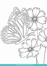 Printable Unique Coloring Pages For Adults And Kids sketch template
