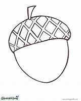 Acorn coloring pages To Download And Print For Free sketch template