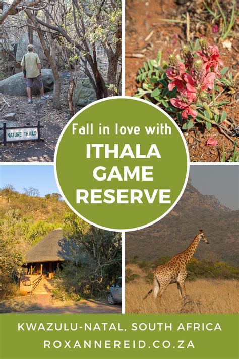 Falling in love with Ithala Game Reserve | South africa travel, Game ...