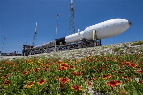 Europe’s Euclid telescope launched to study the dark Universe | Ars ...