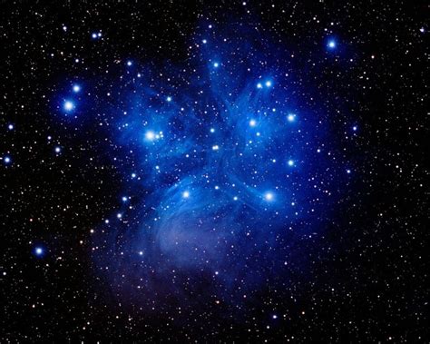 Massive Rotating Stars in the Pleiades Cluster