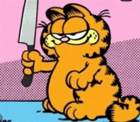 Pin by Lilly Manning on Reaction Pics | Garfield cat, Garfield images ...