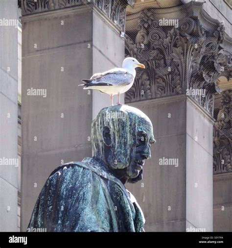 Bird on some sculpture's head Stock Photo - Alamy