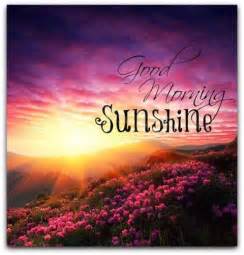 Good Morning Sunshine Pictures, Photos, and Images for Facebook, Tumblr, Pinterest, and Twitter