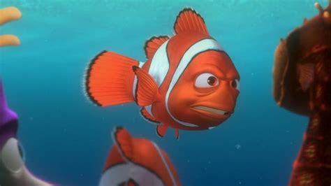 Finding Nemo - Finding Nemo Image (3562379) - Fanpop