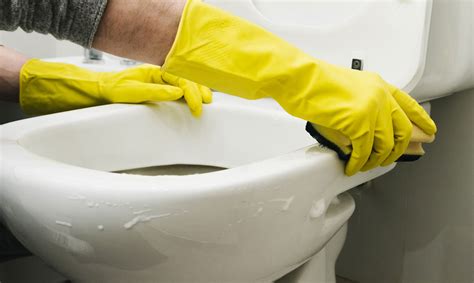 The Secret of Your Toilet Cleaning - Aquatrio