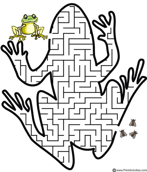 Frog Maze Printable | Labyrinthe, Coloriage magique, Grenouille