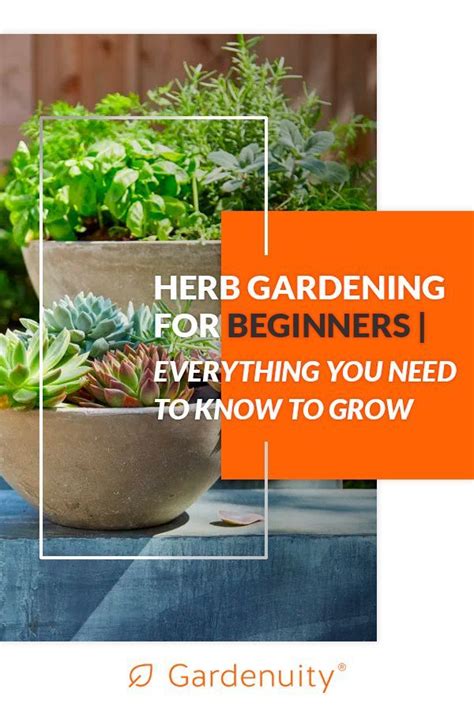 If you’re new to gardening, an herb garden is an incredible way to step into the growing world ...