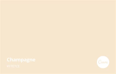 Champagne Meaning, Combinations and Hex Code - Canva Colors | Champagne color palette, Champagne ...