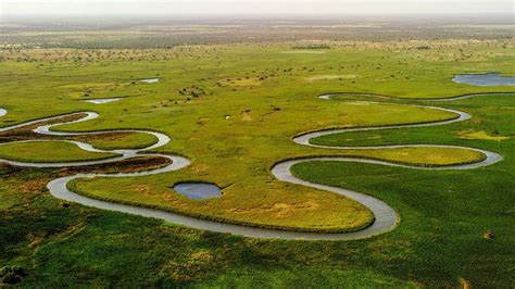 Okavango River delta History, Wildlife and Fun Activities