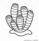 Sea Sponge Clipart Black And White sketch template