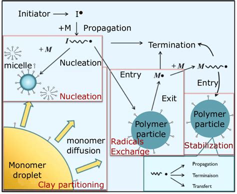 Polymerization Mechanism