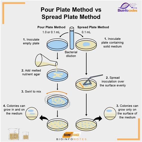 Pour Plate Method- Definition, Principle, Procedure, Uses, 52% OFF