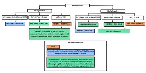 Hepatitis B Treatment Guidelines