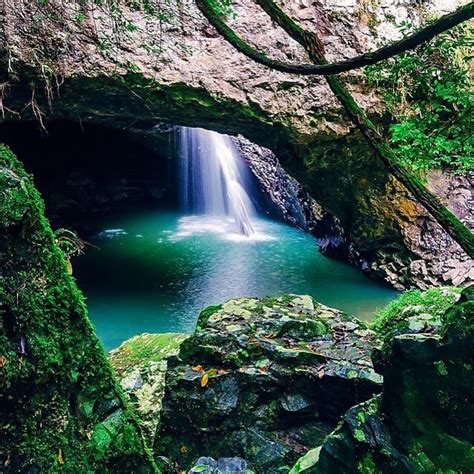 Natural Bridge, Springbrook National Park, Tweed Heads, Australia — by ...