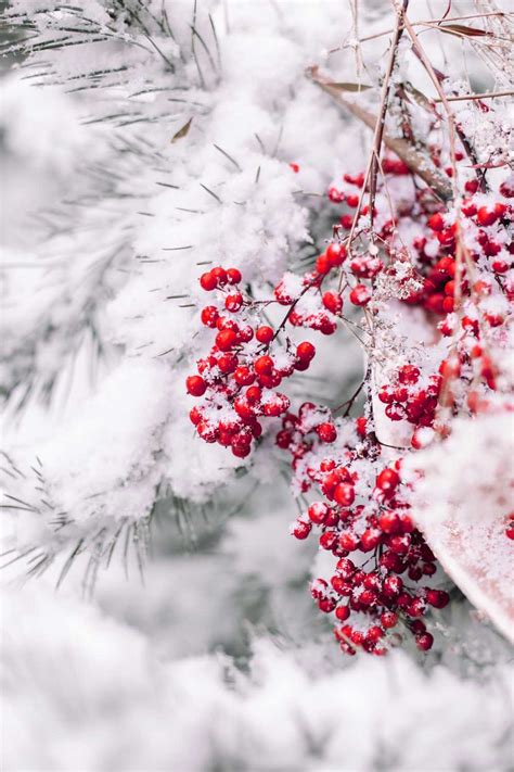 4K Snowy Christmas Wallpaper - KoLPaPer - Awesome Free HD Wallpapers