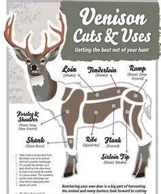 16 Butchering charts ideas | deer meat, meat cuts, processed meat