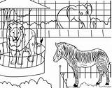 At The Zoo coloring page  Download Print Or Color Online For Free sketch template