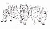 Realistic Wolf Pack Coloring Pages sketch template
