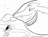 Bruce – Finding Nemo Coloring Pages Disney Movies List sketch template