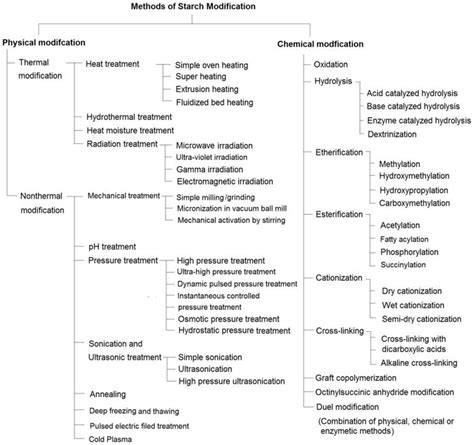 hydrolysis of starch by acid lab report