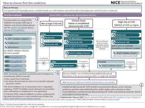 NICE type 2 diabetes management guidance: What’s new? - DiabetesontheNet