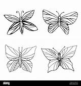 Set Of coloring butterflies Isolated White Background Doodle Style  sketch template