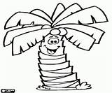 Coconut palmpalm Tree With Coconuts coloring Page Printable Game sketch template